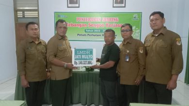 Photo of Perhutani KPH Blitar Serahkan Sharing Tebangan Sengon Kerjasama 2023-2024