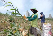 Photo of SIG Tingkatkan Kesejahteraan Petani di RembangMelalui Program Semen Gresik Sahabat Petani