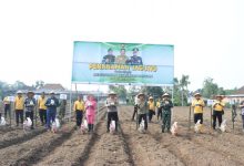 Photo of Wujudkan Ketahanan Pangan Mandiri, Polres Blitar Kota Bersama Masyarakat Tanam Jagung Di Lahan Aset Polri