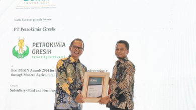 Photo of Komitmen Tinggi Petrokimia Gresik Dalam Penguatan Ekonomi di Sektor Pertanian Diakui “Indonesia Nest BUMN Award 2024”