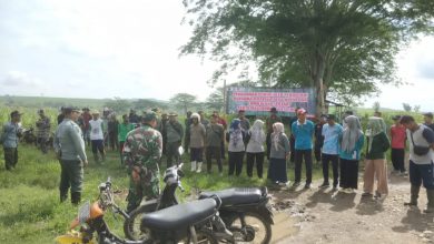 Photo of Penanaman Bersama di lokasi Eks Tanaman Tebu bersama Muspika dan LMDH di Desa Ngeni