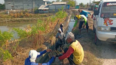 Photo of Pemdes Tanjangawan dan Petambak Kerja Bakti Bersihkan Kali Antisipasi Banjir