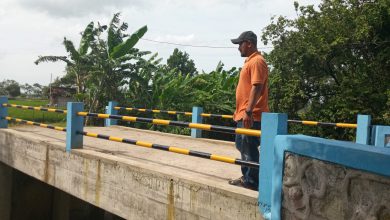 Photo of Bangun Jembatan Pertanian, Bukti Kongkrit Pemdes Sawo Gresik Dukung Percepatan Swasembada Pangan