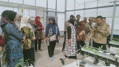 Photo of Greenhouse Desa Klangonan Kebomas Gresik Kembangkan Budidaya Melon Hidroponik