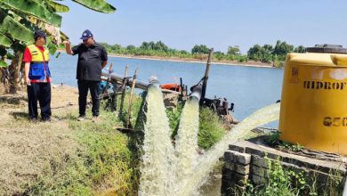 Photo of Pemdes Padang Bandung Berharap Bantuan Pompa Listrik untuk Irigasi Segera Direalisasi