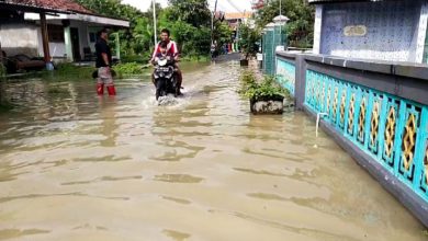 Photo of Luapan Anak Kali Lamong Genangi Jalan Poros Desa dan Makam Umum