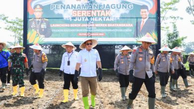 Photo of Pj. Gubernur Adhy Bersama Polda Jatim Tanam Jagung Serentak di Kabupaten Blitar