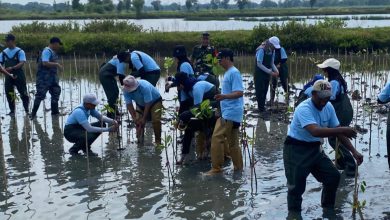 Photo of Pemdes Karangrejo Ajak Siswa dan Warga Jaga Kebersihan dan Tanam 10 Ribu Mangrove