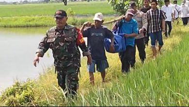 Photo of Ditemukan MR X Di Sawah Dusun Wonosari , Desa Jogodalu, Gresik