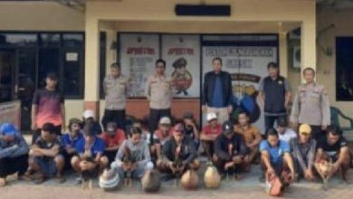 Photo of Polsek Ujungpangkah Gerebek Lokasi Judi Sabung Ayam, 17 Orang Diamankan