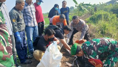 Photo of Penemuan Mayat Di Sawah Dusun Ganggang, Desa Ganggang, Balongpanggang
