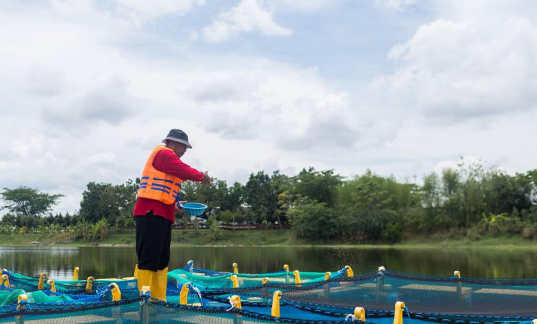Photo of Tidak Hanya Turut Melestarikan Lingkungan,Program Keberlanjutan SIG Serap 20 Ribu Tenaga Kerja