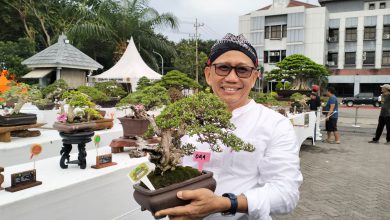 Photo of Gus Sonhaji: Filosofi Sunan Kalijaga, Tanaman Bonsai adalah Media Pembelajaran Spiritual