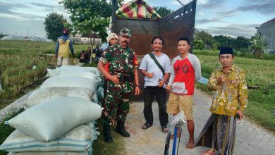 Photo of Pemdes Sidokumpul Bungah Apresiasi Peran Babinsa Dampingi Penyerapan Gabah Bikin Petani Sumringah