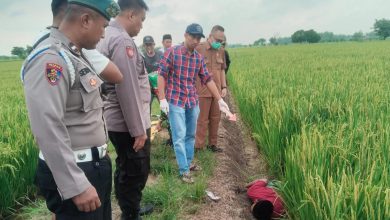 Photo of Di Duga Mati Kesetrum di Sawah Dusun Ganggang Desa Ganggang, Balongpanggang