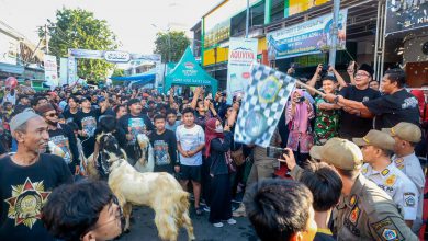 Photo of Culture and Tradition Eid Adha 2025: Semangat Budaya, Arah Baru Peternakan Muda