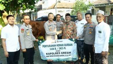 Photo of Polres Gresik Salurkan 100 ekor Hewan Kurban di Hari Raya Idul Adha