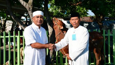 Photo of Komandan Puspenerbal Serahkan Hewan Kurban Usai Pelaksanaan Sholat Idul Adha 1446 H