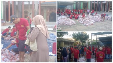 Photo of Hari Raya Qurban 1446 H, Masjid Jami Baiturrahman Desa Pelemwatu Sukses Menyembelih 17 Ekor Sapi Dan 47 Ekor Kambing