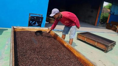 Photo of Rumah BUMN SIG Sukses Bawa Kopi Rembang Tembus Pasar Nasional
