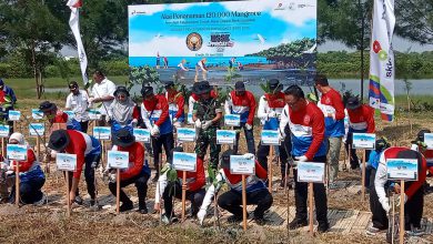 Photo of Kodim 0817/Gresik Dukung Aksi Penanaman 120.000 Mangrove Di Rth Desa Pangkah Wetan