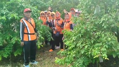 Photo of Kembangkan Wisata Petik Buah dan Mudahkan Pelayanan Masyarakat, Pemdes Pengalangan Masuk Desa Berdaya Provinsi Jawa Timur