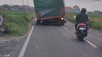 Photo of Nekat Melintas di Jalan Banjarsari – Kedanyang, Truk Besar Terperosok, Warga Gresik Minta Diportal