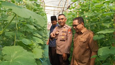 Photo of Pemdes Suci Dongkrak PADes Dengan Tanam Green House