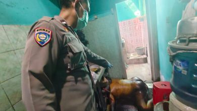 Photo of Temukan Ayahnya Meninggal Dunia di depan Kamar Mandi, Begini Kondisinya