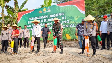 Photo of Penanaman Jagung Kuartal III di Gresik, Dandim 0817/Gresik Turut Hadir dan Dukung Ketahanan Pangan Nasional