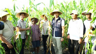 Photo of Dukung Ketahanan Pangan, Polres Gresik Gelar Penanaman Jagung Serentak di Lahan Perhutanan Sosial
